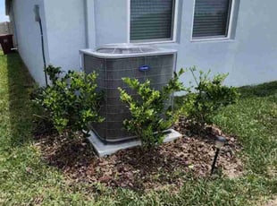 Weeding by Coty Thomas for Fina S. in Plant City, FL