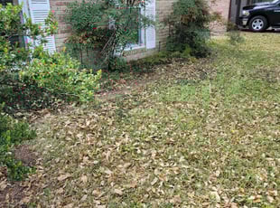 Weeding by Hugo Melgar for Claude G. in Houston, TX