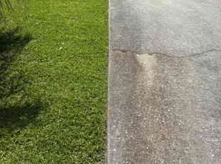 Weeding by Josh Herdman for Shemele C. in Myrtle Beach, SC