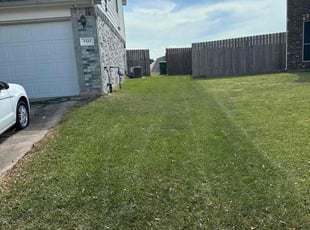 Lindsay M.'s Lawn Maintenance service result