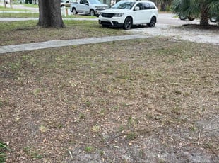 Leaf Removal by Felipe Dothe for Kevin D. in St. Petersburg, FL