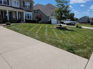 Rickey W.'s Lawn Maintenance service result