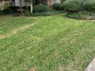 Julia B.'s Yard Cutting service result