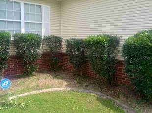 Bush Trimming by Karushoun Kelly for Bobby W. in Jacksonville, AR