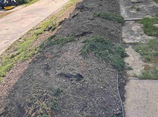 Weeding by Frank Ocejo for Carlos P. in Cleveland, OH