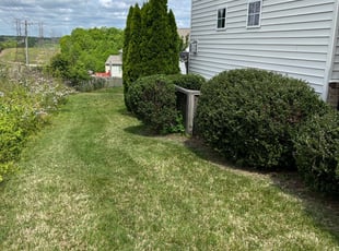 Bush Trimming by EV Jenkins-Benavides for Jereisha C. in Midlothian, VA