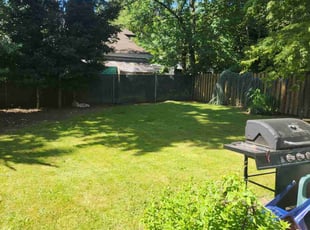 Andrea H.'s Lawn Mowing Service service result