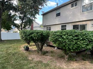 Bush Trimming by Brandon Fiala for Eunice K. in St. Peters, MO