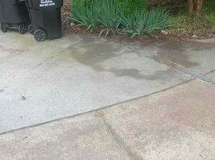 Leaf Removal by Hunter Foster for Angela M. in Anderson, SC