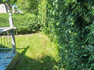 Bush Trimming by Ronnie Anderson for Ashruf S. in Milwaukee, WI