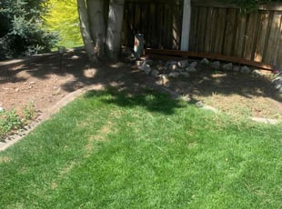 Cleanups by Shawn Beardall for Helen I L. in Orem, UT