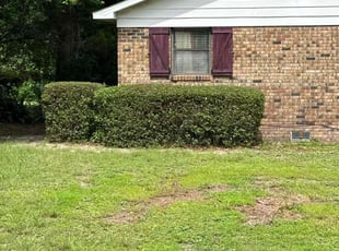 Bush Trimming by Travis Frederickson for Ashley W. in Pensacola, FL