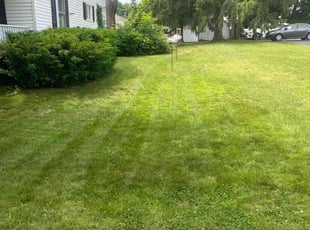 Susan K.'s Lawn Care service result