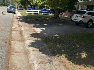 Leaf Removal by Franyelis Irimar Marquez Martinez for Steven C. in Arvada, CO