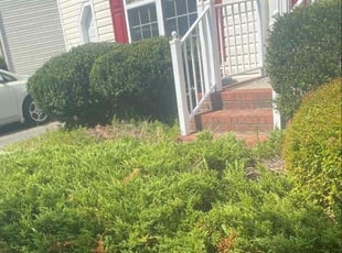 Bush Trimming by Nathaniel Howard for Jesse S. in Chesterfield, VA