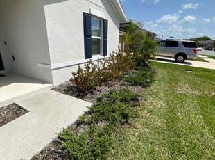 Weeding by James Ramey for Sabinah R. in St. Cloud, FL