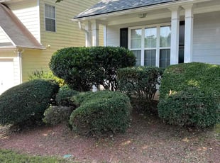 Bush Trimming by Phillip StPreuve for Chinenye O. in Suwanee, GA
