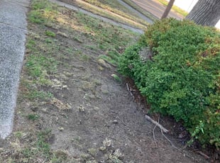 Leaf Removal by Gregory Schofield for Crystal L. in Pennsauken Township, NJ