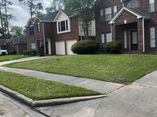 Thom B.'s Grass Cutting service result