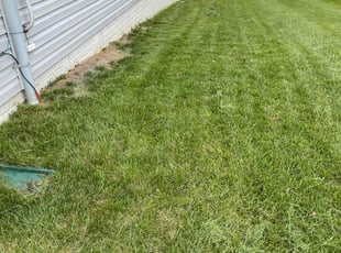 Sindy L.'s Grass Cutting service result