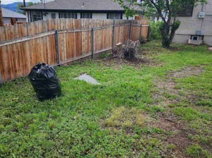 Cleanups by Rebecca Jones for Neil B. in Colorado Springs, CO