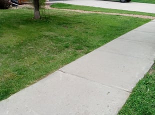 Leaf Removal by Christopher Knight for Karen M. in Broomfield, CO