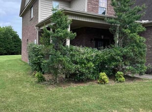 Bush Trimming by Chris Trauner for Mark P. in Huntsville, AL
