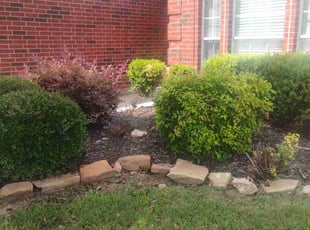 Weeding by Brian Evans for Rena R. in Fort Worth, TX