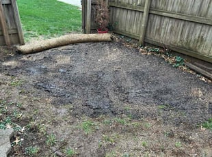 Landscaping by Sebastian Carpio for Sherry M. in Parkville, MO