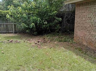 Cleanups by Timothy Hudson for pat w. in Norman, OK