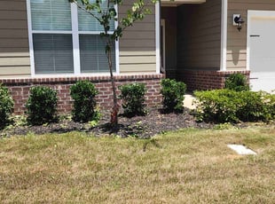 Bush Trimming by Gabriel Gray for Darius S. in Monroe, NC