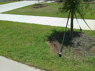 Rebecca M.'s Lawn Care service result
