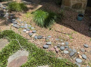 Weeding by Raquel Gutierrez for Jim H. in Austin, TX