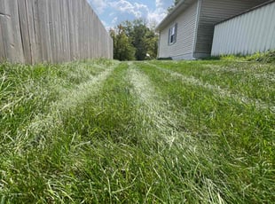 Rickey W.'s Lawn Mowing service result