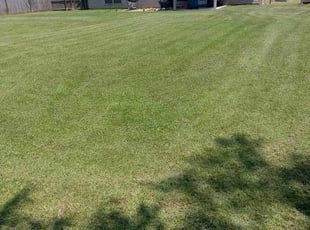 Cory J.'s Yard Cutting service result