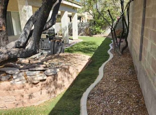 Leaf Removal by George Zhouf for John T. in Las Vegas, NV