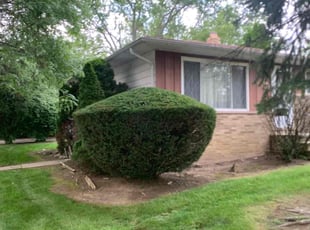 Bush Trimming by Marcus Williams for Roderick V. in Maple Heights, OH