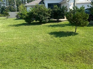Michelle B.'s Yard Cutting service result