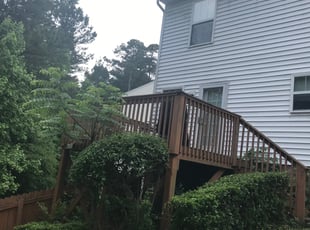 Bush Trimming by George Ballard for Ian W. in Durham, NC
