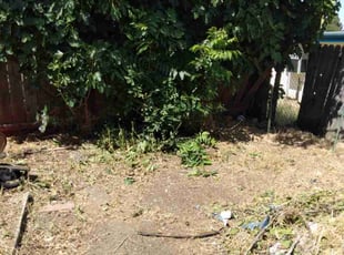 Cleanups by Scott Reeves for Ron O. in Vacaville, CA