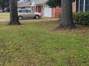 Leaf Removal by Michael Gill for Anderson B. in Lewisville, TX