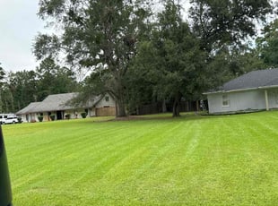 Saeed M.'s Lawn Care service result