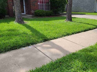 Cindi K.'s Lawn Service service result