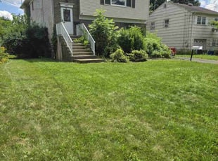 Cleanups by Kenneth Giarratano for Daniel I. in Scotch Plains, NJ