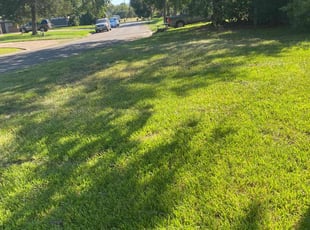 Bala A.'s Lawn Care service result