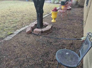 Leaf Removal by Joe Garley for Donald M. in Albuquerque, NM