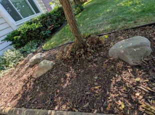 Weeding by Ayla Lee for Kevin W. in Orion Township, MI