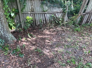Leaf Removal by Onel Cherilus for Mackentosh L. in Orlando, FL