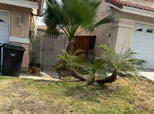 Bush Trimming by Edward Walsh for Christopher E. in Fontana, CA