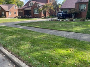 Chris M.'s Yard Cutting service result